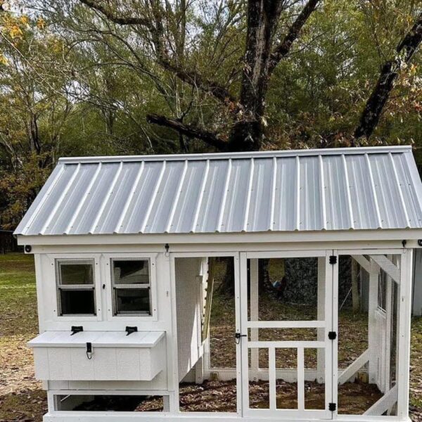 Chicken Coop Model 01